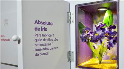 Foto de flor de íris utilizada na perfumaria.